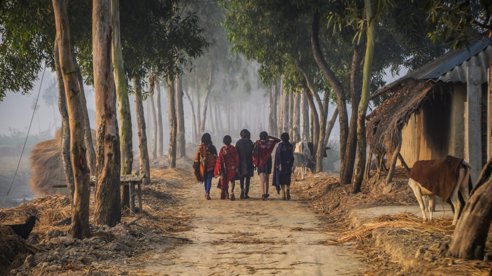 Rural community road in South 24 Parganas